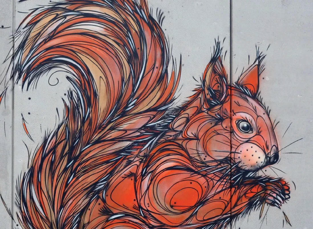 DZIA — artiste du Festival Racines