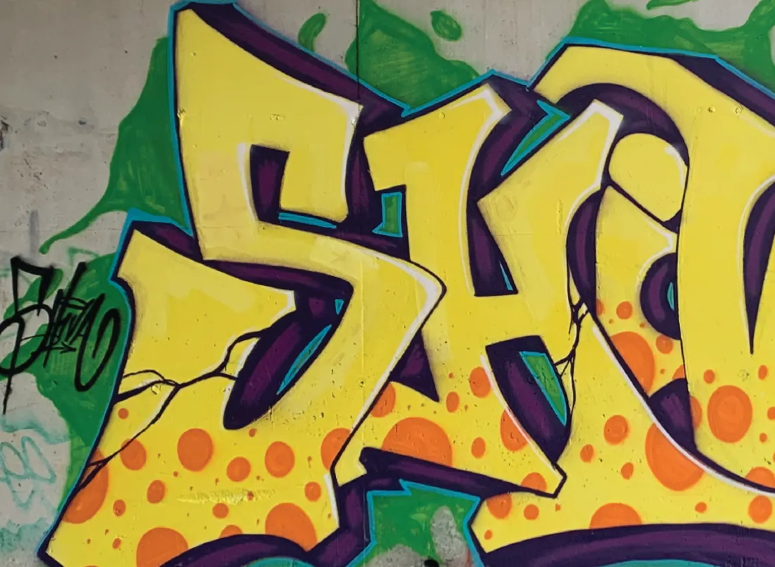 SHIVA — artiste du Festival Racines