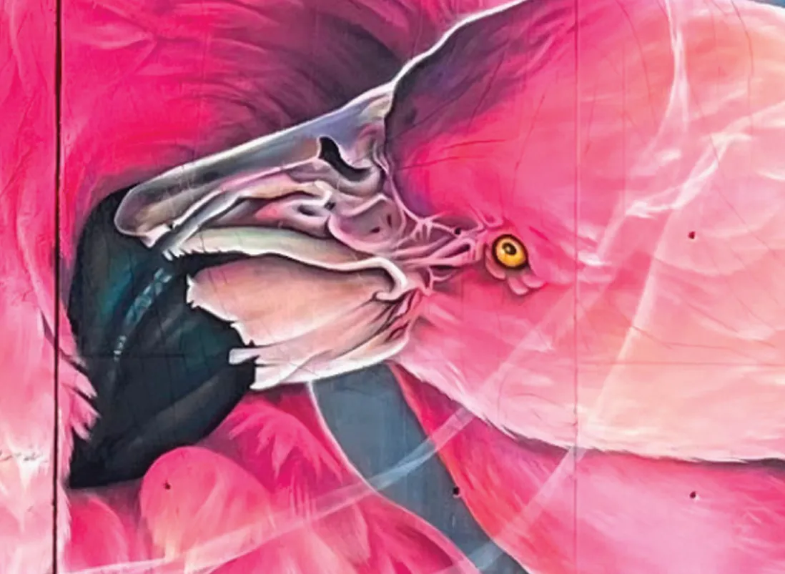 SMOK — artiste du Festival Racines