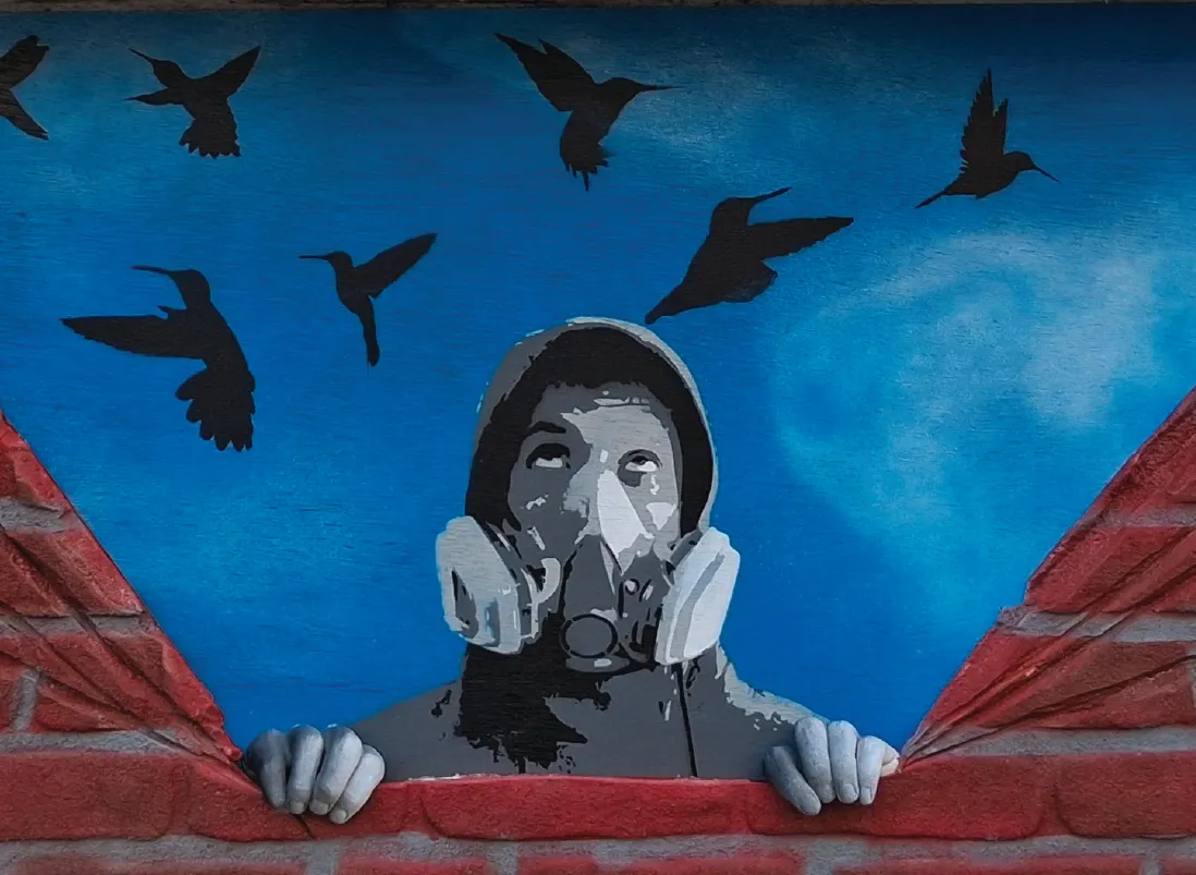 STRANGE BIRD — artiste du Festival Racines