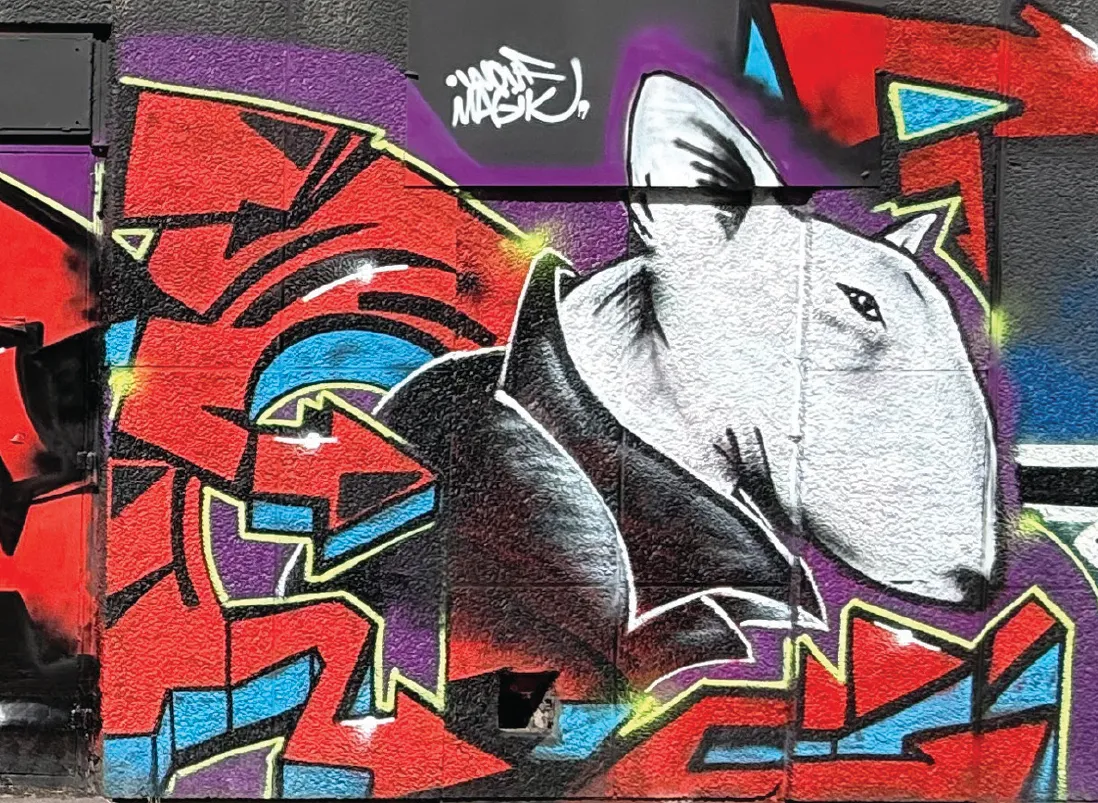 WOUF — artiste du Festival Racines