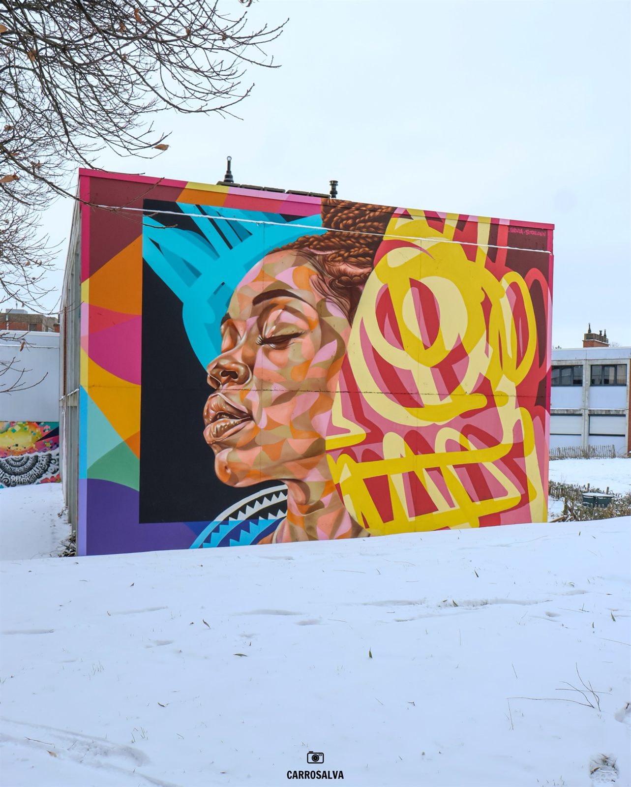 Fresque d’un portrait de femme aux facettes colorées et lettrages jaunes